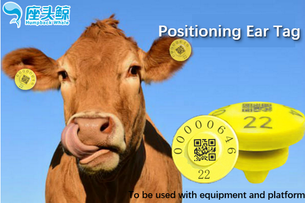 Intelligent Breeding Fattening Positioning Electronic Anti-tampering Ear Tag